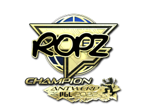 ropz (Gold, Champion) | Antwerp 2022 image